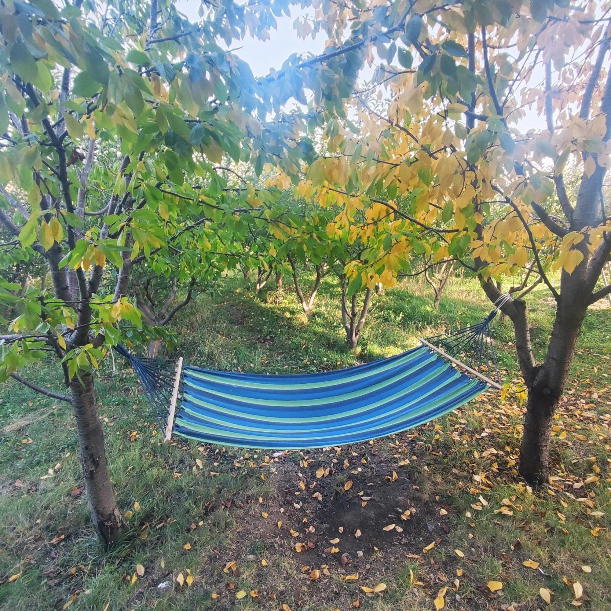 Lanj In Eco Garden/ Guest House Nurnus Dış mekan fotoğraf