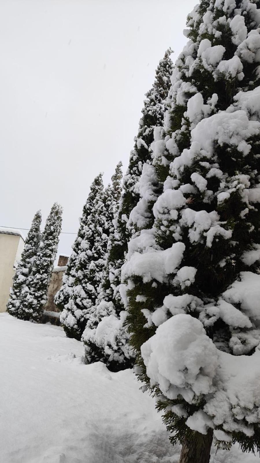 Lanj In Eco Garden/ Guest House Nurnus Dış mekan fotoğraf