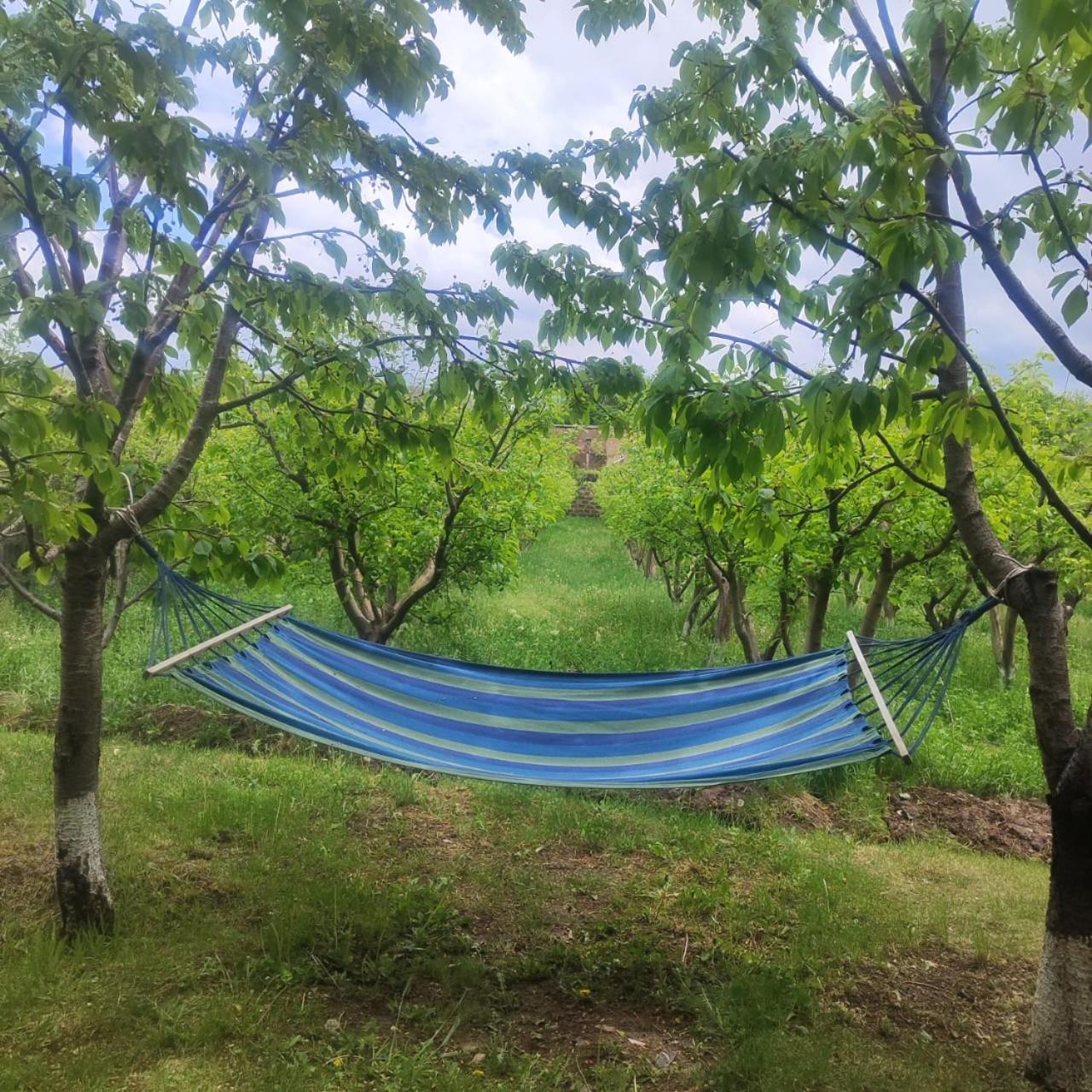 Lanj In Eco Garden/ Guest House Nurnus Dış mekan fotoğraf